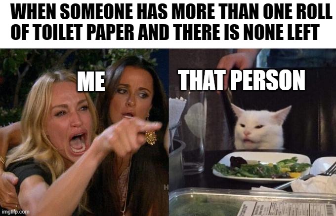 Hi | WHEN SOMEONE HAS MORE THAN ONE ROLL OF TOILET PAPER AND THERE IS NONE LEFT; THAT PERSON; ME | image tagged in memes,woman yelling at cat | made w/ Imgflip meme maker