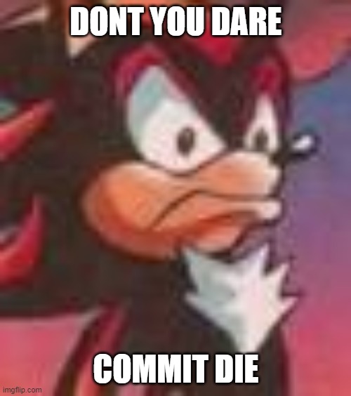 Shadow the Hedgehog | DONT YOU DARE COMMIT DIE | image tagged in shadow the hedgehog | made w/ Imgflip meme maker