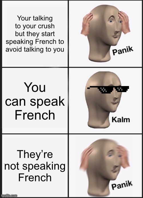 The agony of defeat | Your talking to your crush but they start speaking French to avoid talking to you; You can speak French; They’re not speaking French | image tagged in memes,panik kalm panik | made w/ Imgflip meme maker