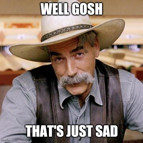 SARCASM COWBOY | WELL GOSH THAT'S JUST SAD | image tagged in sarcasm cowboy | made w/ Imgflip meme maker