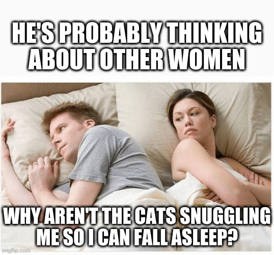 Him She's probably thinking about other dudes | HE'S PROBABLY THINKING
ABOUT OTHER WOMEN; WHY AREN'T THE CATS SNUGGLING
ME SO I CAN FALL ASLEEP? | image tagged in him she's probably thinking about other dudes | made w/ Imgflip meme maker