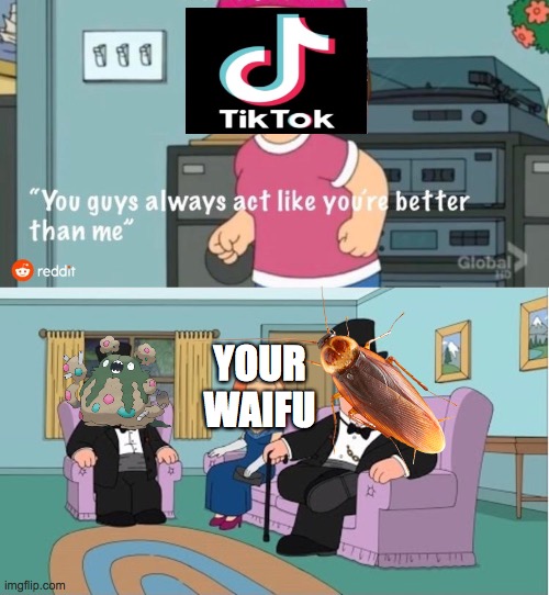 My family uses Tik Tok, so I will use their graves as a meme template | YOUR WAIFU | image tagged in you guys always act like you're better than me | made w/ Imgflip meme maker