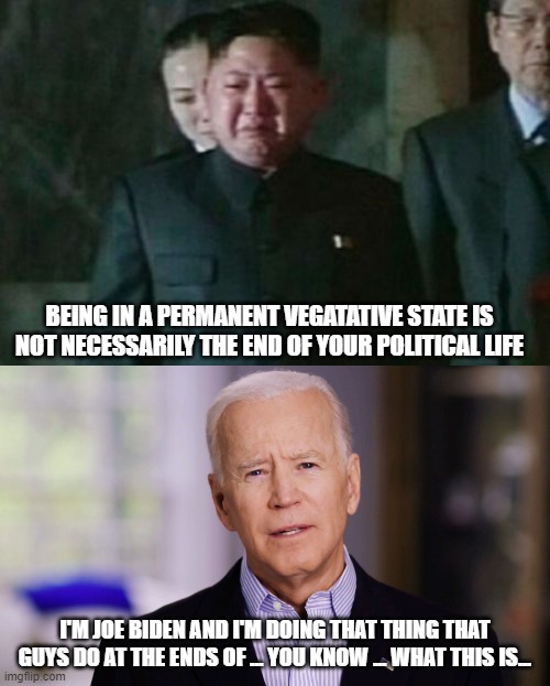 Get it out there, Joe!  You can do it!  Maybe. | BEING IN A PERMANENT VEGATATIVE STATE IS NOT NECESSARILY THE END OF YOUR POLITICAL LIFE; I'M JOE BIDEN AND I'M DOING THAT THING THAT GUYS DO AT THE ENDS OF ... YOU KNOW ... WHAT THIS IS... | image tagged in memes,kim jong un sad,joe biden 2020 | made w/ Imgflip meme maker