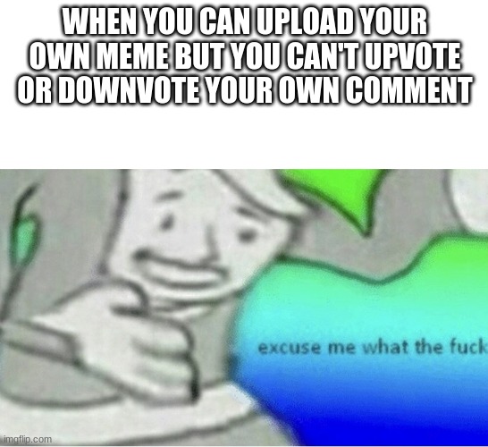 WhY? | WHEN YOU CAN UPLOAD YOUR OWN MEME BUT YOU CAN'T UPVOTE OR DOWNVOTE YOUR OWN COMMENT | image tagged in excuse me wtf blank template | made w/ Imgflip meme maker