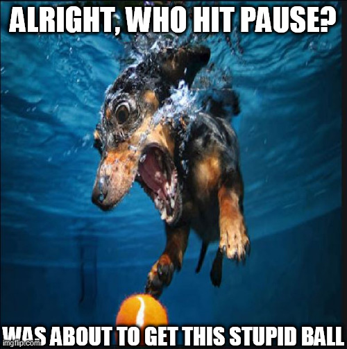 ALRIGHT, WHO HIT PAUSE? WAS ABOUT TO GET THIS STUPID BALL | made w/ Imgflip meme maker