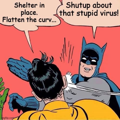 We've heard enough. | Shutup about that stupid virus! Shelter in place.
Flatten the curv... | image tagged in batman slapping robin | made w/ Imgflip meme maker