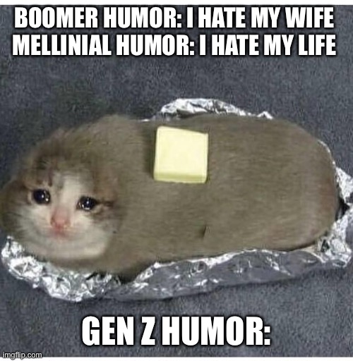 Gen Z humor be like: | BOOMER HUMOR: I HATE MY WIFE 

MELLINIAL HUMOR: I HATE MY LIFE; GEN Z HUMOR: | image tagged in baked potato cat,cats,memes,funny,clean memes,dank | made w/ Imgflip meme maker