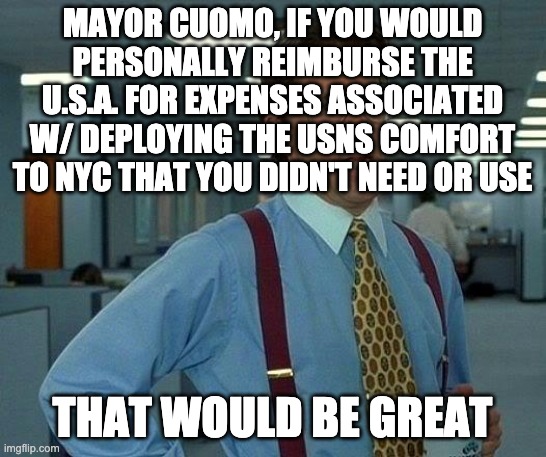 Government Waste | MAYOR CUOMO, IF YOU WOULD PERSONALLY REIMBURSE THE U.S.A. FOR EXPENSES ASSOCIATED W/ DEPLOYING THE USNS COMFORT TO NYC THAT YOU DIDN'T NEED OR USE; THAT WOULD BE GREAT | image tagged in memes,that would be great,letsgetwordy,mediainducedpanic | made w/ Imgflip meme maker