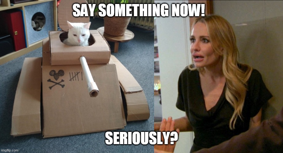 Cat in Tank | SAY SOMETHING NOW! SERIOUSLY? | image tagged in funny cats | made w/ Imgflip meme maker