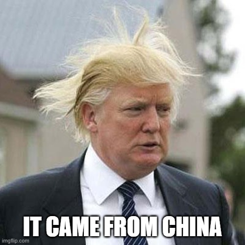 Donald Trump | IT CAME FROM CHINA | image tagged in donald trump | made w/ Imgflip meme maker