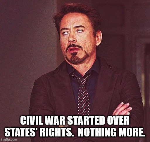 Robert Downey Jr Annoyed | CIVIL WAR STARTED OVER STATES' RIGHTS.  NOTHING MORE. | image tagged in robert downey jr annoyed | made w/ Imgflip meme maker
