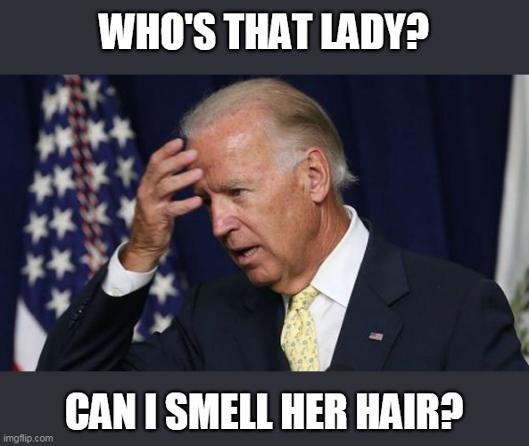 Joe Biden worries | WHO'S THAT LADY? CAN I SMELL HER HAIR? | image tagged in joe biden worries | made w/ Imgflip meme maker