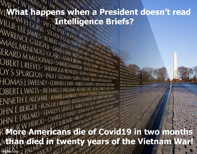 Covid19 Deaths Surpass Vietnam War Deaths | image tagged in covid19,vietnam war deaths,covid19 deaths,intelligence briefs,president trump | made w/ Imgflip meme maker