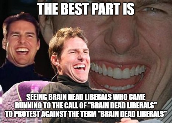 Tom Cruise laugh | THE BEST PART IS SEEING BRAIN DEAD LIBERALS WHO CAME RUNNING TO THE CALL OF "BRAIN DEAD LIBERALS" TO PROTEST AGAINST THE TERM "BRAIN DEAD LI | image tagged in tom cruise laugh | made w/ Imgflip meme maker