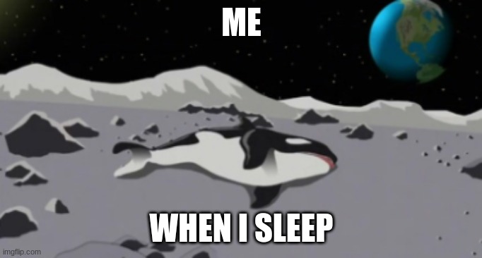 dead orca | ME; WHEN I SLEEP | image tagged in dead orca | made w/ Imgflip meme maker