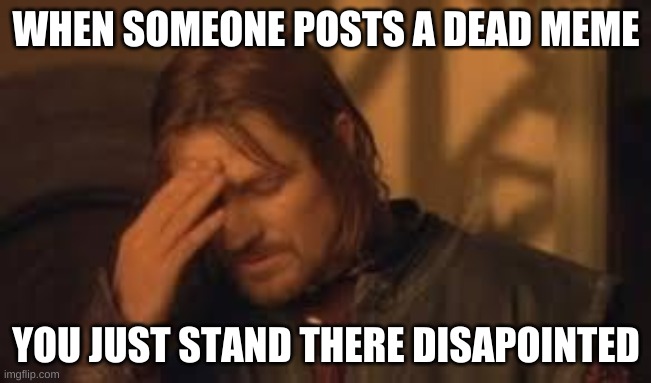 old memes be like | WHEN SOMEONE POSTS A DEAD MEME; YOU JUST STAND THERE DISAPOINTED | image tagged in haha | made w/ Imgflip meme maker