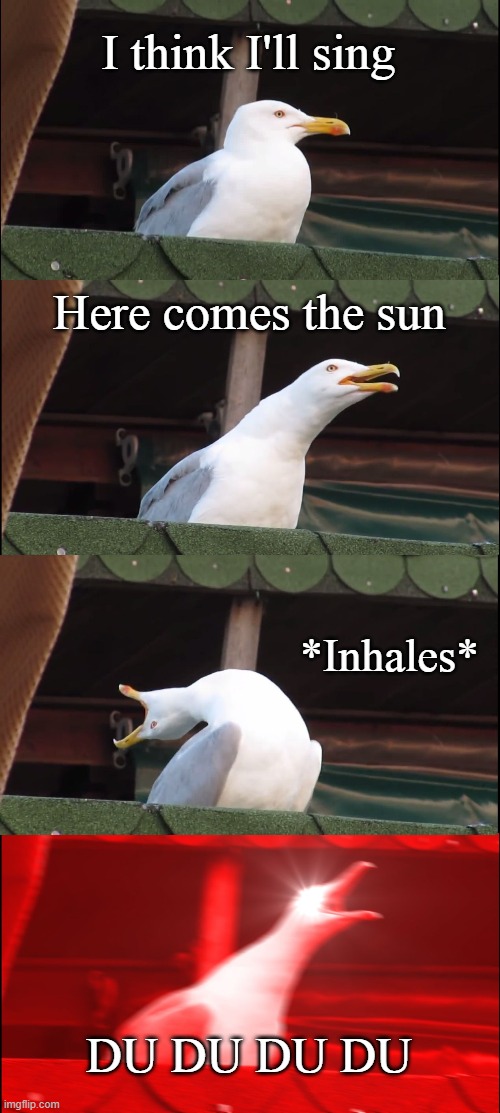 here comes the sun DU DU DU DU!!!!!!!!!!!! | I think I'll sing; Here comes the sun; *Inhales*; DU DU DU DU | image tagged in memes,inhaling seagull | made w/ Imgflip meme maker
