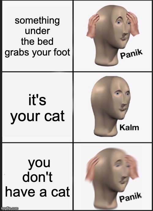 Panik Kalm Panik | something under the bed grabs your foot; it's your cat; you don't have a cat | image tagged in memes,panik kalm panik | made w/ Imgflip meme maker