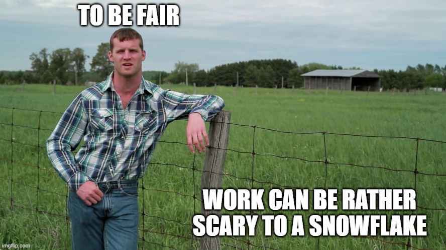 Letterkenny Problems | TO BE FAIR WORK CAN BE RATHER SCARY TO A SNOWFLAKE | image tagged in letterkenny problems | made w/ Imgflip meme maker