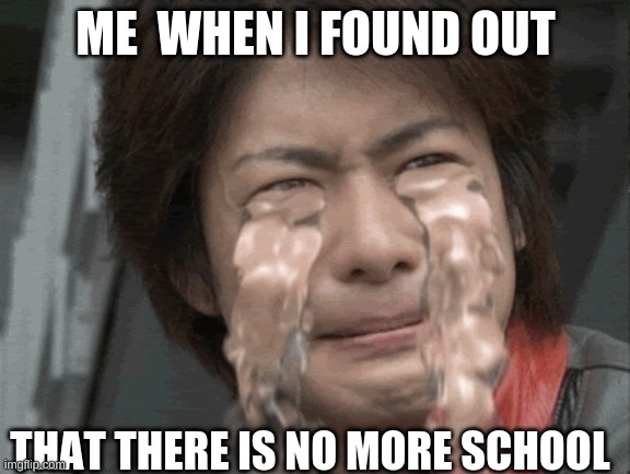 School | ME  WHEN I FOUND OUT; THAT THERE IS NO MORE SCHOOL | image tagged in school meme | made w/ Imgflip meme maker