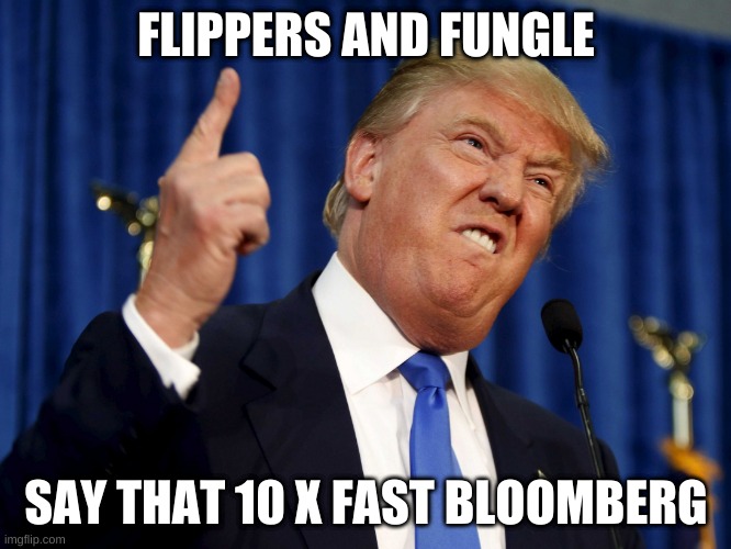 qwerty | FLIPPERS AND FUNGLE; SAY THAT 10 X FAST BLOOMBERG | image tagged in qwerty | made w/ Imgflip meme maker