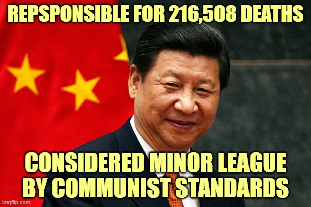 Xi Jinping | REPSPONSIBLE FOR 216,508 DEATHS; CONSIDERED MINOR LEAGUE BY COMMUNIST STANDARDS | image tagged in xi jinping | made w/ Imgflip meme maker