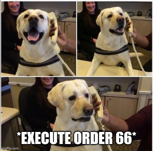 Sad News Doggo | *EXECUTE ORDER 66* | image tagged in sad news doggo | made w/ Imgflip meme maker