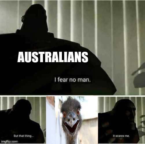 image tagged in funny,memes,emu memes,funny memes | made w/ Imgflip meme maker