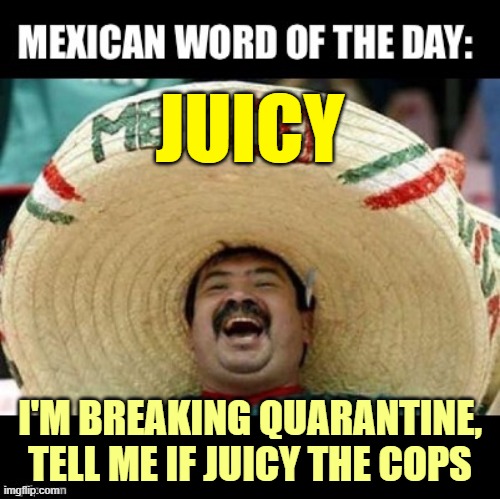 Mexican Word Of The Day | JUICY; I'M BREAKING QUARANTINE, TELL ME IF JUICY THE COPS | image tagged in mexican word of the day large | made w/ Imgflip meme maker