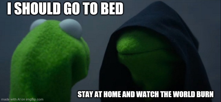 I should go to bed | I SHOULD GO TO BED; STAY AT HOME AND WATCH THE WORLD BURN | image tagged in memes,evil kermit | made w/ Imgflip meme maker