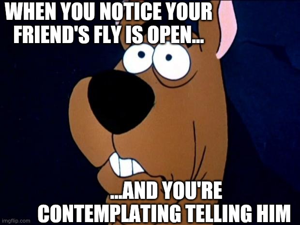 Scooby-Doo | WHEN YOU NOTICE YOUR FRIEND'S FLY IS OPEN... ...AND YOU'RE CONTEMPLATING TELLING HIM | image tagged in scooby-doo,silly,fun,meme | made w/ Imgflip meme maker
