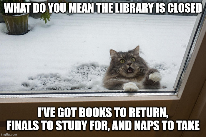 Library Closed | WHAT DO YOU MEAN THE LIBRARY IS CLOSED; I'VE GOT BOOKS TO RETURN, FINALS TO STUDY FOR, AND NAPS TO TAKE | image tagged in library,cat | made w/ Imgflip meme maker
