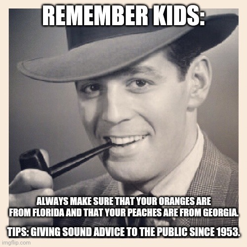 Tips # 1 | REMEMBER KIDS:; ALWAYS MAKE SURE THAT YOUR ORANGES ARE FROM FLORIDA AND THAT YOUR PEACHES ARE FROM GEORGIA. TIPS: GIVING SOUND ADVICE TO THE PUBLIC SINCE 1953. | image tagged in oranges | made w/ Imgflip meme maker