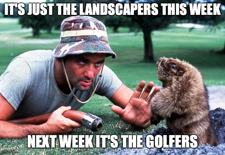 Golf finally open | IT'S JUST THE LANDSCAPERS THIS WEEK; NEXT WEEK IT'S THE GOLFERS | image tagged in bill murray,golf,caddyshack | made w/ Imgflip meme maker