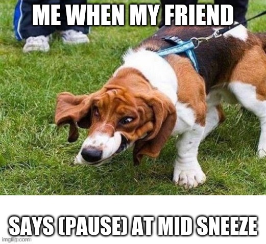 sneeze | ME WHEN MY FRIEND; SAYS (PAUSE) AT MID SNEEZE | image tagged in memes,funny,funny memes,lol,lol so funny | made w/ Imgflip meme maker