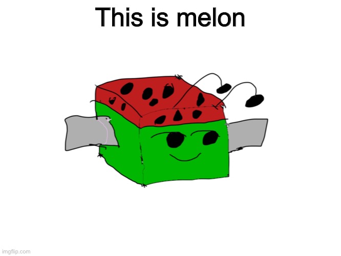 This is melon | made w/ Imgflip meme maker