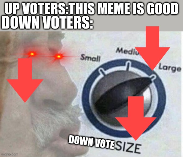 down vote is big | UP VOTERS:THIS MEME IS GOOD; DOWN VOTERS:; DOWN VOTE | image tagged in oof size large | made w/ Imgflip meme maker