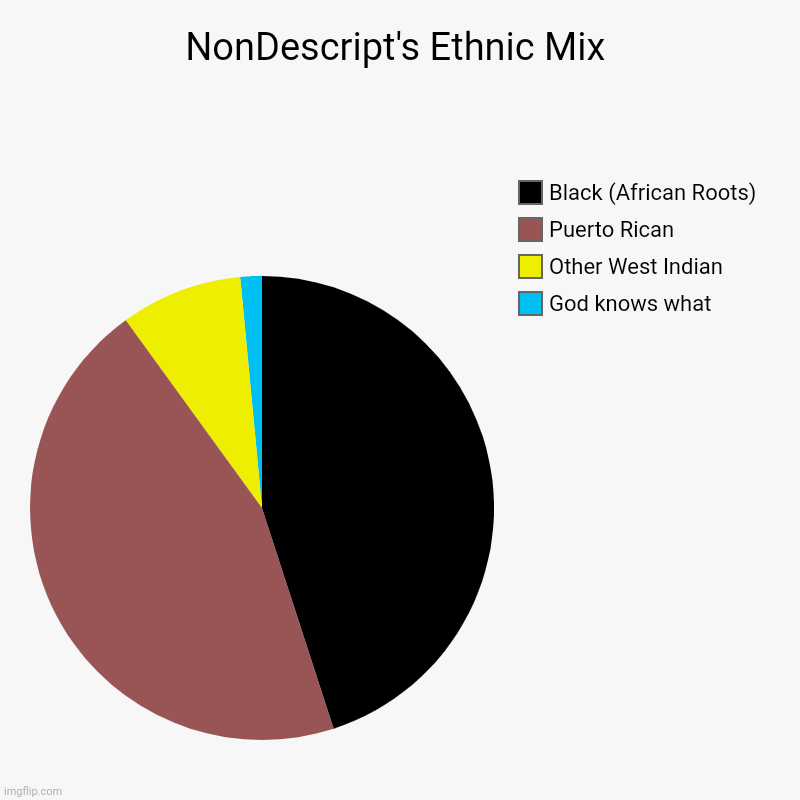 Estimates, of course. | NonDescript's Ethnic Mix | God knows what, Other West Indian, Puerto Rican, Black (African Roots) | image tagged in charts,pie charts | made w/ Imgflip chart maker