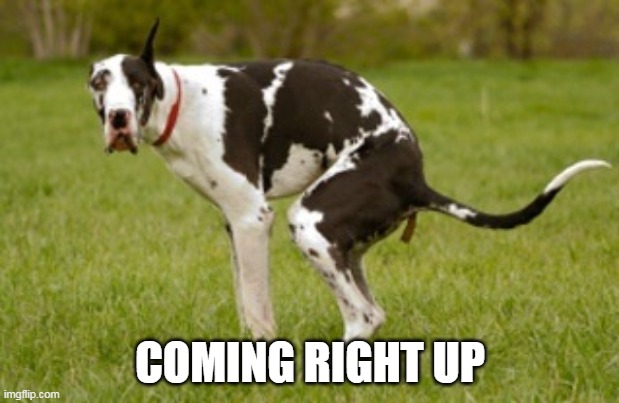 Dog crap | COMING RIGHT UP | image tagged in dog crap | made w/ Imgflip meme maker