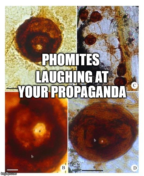 PHOMITES; LAUGHING AT YOUR PROPAGANDA | image tagged in dr erickson,cdc,who,coronavirus,covid-19 | made w/ Imgflip meme maker