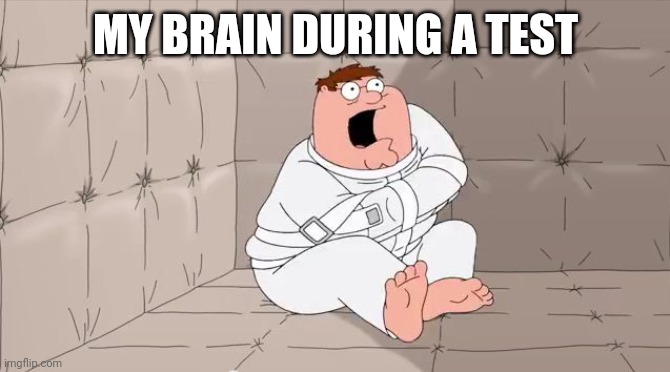 My brain during a test | MY BRAIN DURING A TEST | image tagged in insanity peter | made w/ Imgflip meme maker