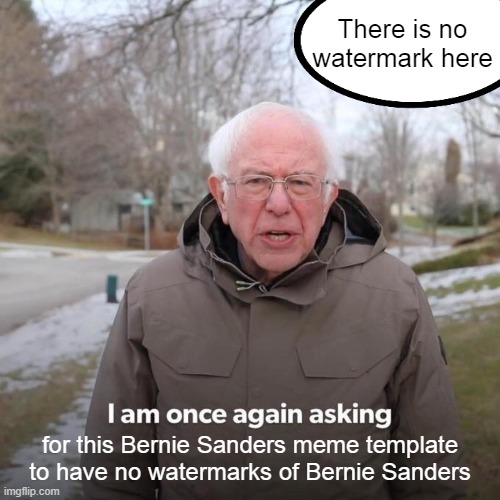 Bernie I Am Once Again Asking For Your Support | There is no watermark here; for this Bernie Sanders meme template to have no watermarks of Bernie Sanders | image tagged in memes,bernie i am once again asking for your support | made w/ Imgflip meme maker