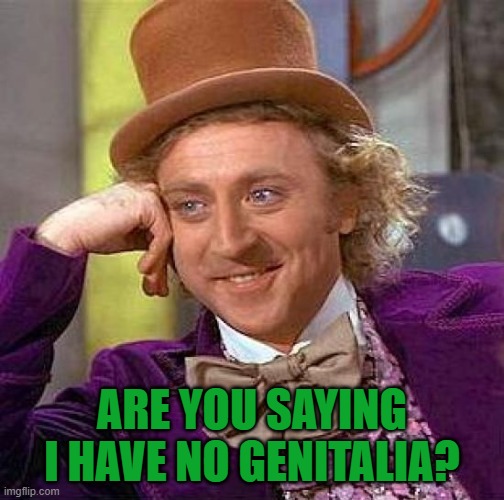 Creepy Condescending Wonka Meme | ARE YOU SAYING I HAVE NO GENITALIA? | image tagged in memes,creepy condescending wonka | made w/ Imgflip meme maker