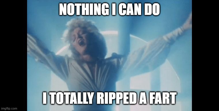 Um, Those Aren't the Lyrics | NOTHING I CAN DO; I TOTALLY RIPPED A FART | image tagged in bonnie tyler | made w/ Imgflip meme maker