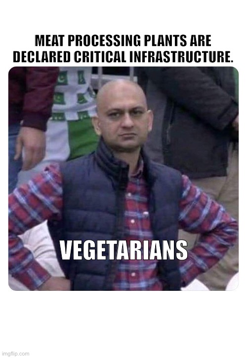 Meat processors declared critical infrastructure. Vegetarians. | MEAT PROCESSING PLANTS ARE DECLARED CRITICAL INFRASTRUCTURE. VEGETARIANS | image tagged in dissatisfied pak fan | made w/ Imgflip meme maker