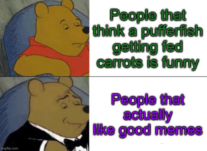 common sense | People that think a pufferfish getting fed carrots is funny; People that actually like good memes | image tagged in memes | made w/ Imgflip meme maker