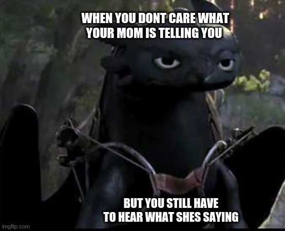 Bored Dragon | WHEN YOU DONT CARE WHAT YOUR MOM IS TELLING YOU; BUT YOU STILL HAVE TO HEAR WHAT SHES SAYING | image tagged in bored dragon | made w/ Imgflip meme maker
