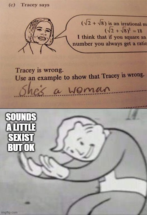 Sounds a little sexist but ok | SOUNDS A LITTLE SEXIST BUT OK | image tagged in fallout hold up,sexist,funny,memes,meme | made w/ Imgflip meme maker
