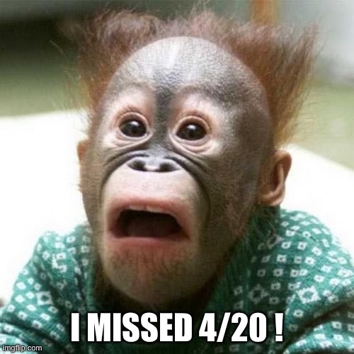 Shocked Monkey | I MISSED 4/20 ! | image tagged in shocked monkey | made w/ Imgflip meme maker