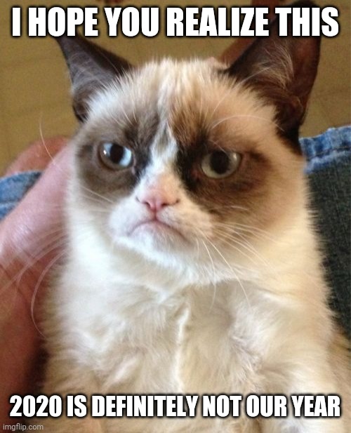 Grumpy Cat | I HOPE YOU REALIZE THIS; 2020 IS DEFINITELY NOT OUR YEAR | image tagged in memes,grumpy cat,2020 | made w/ Imgflip meme maker